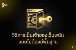 How to Become a Gambling Website Owner Without Technical Skills